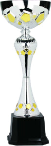 Silver Metal Cup 311 Trophy